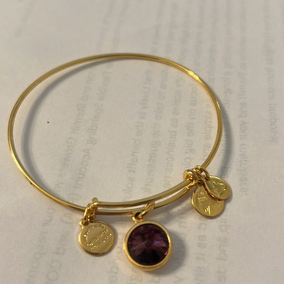 Authentic Alex + Ani Bracelets - Picture 6 of 7